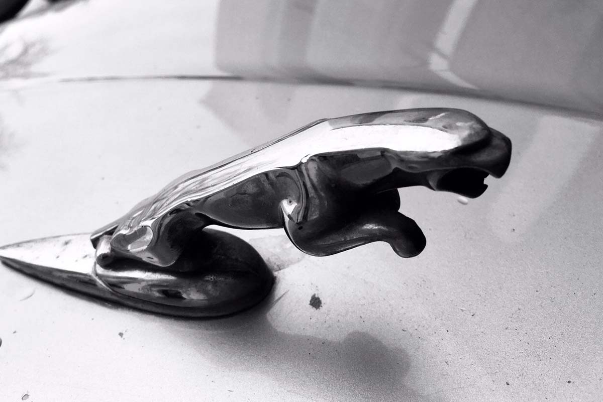 Jaguar X-Type Sedan 2007 3