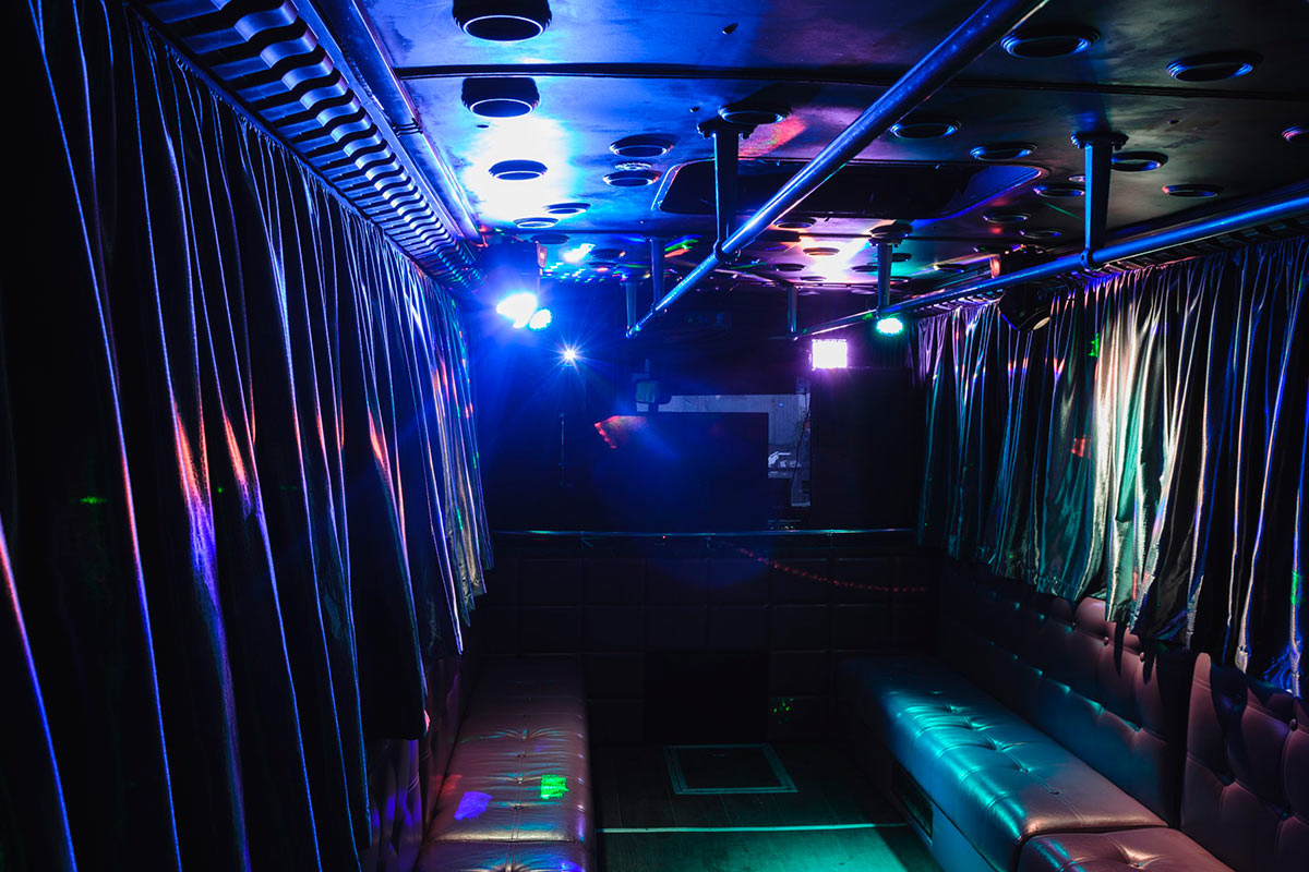 Party Bus Срібло 5