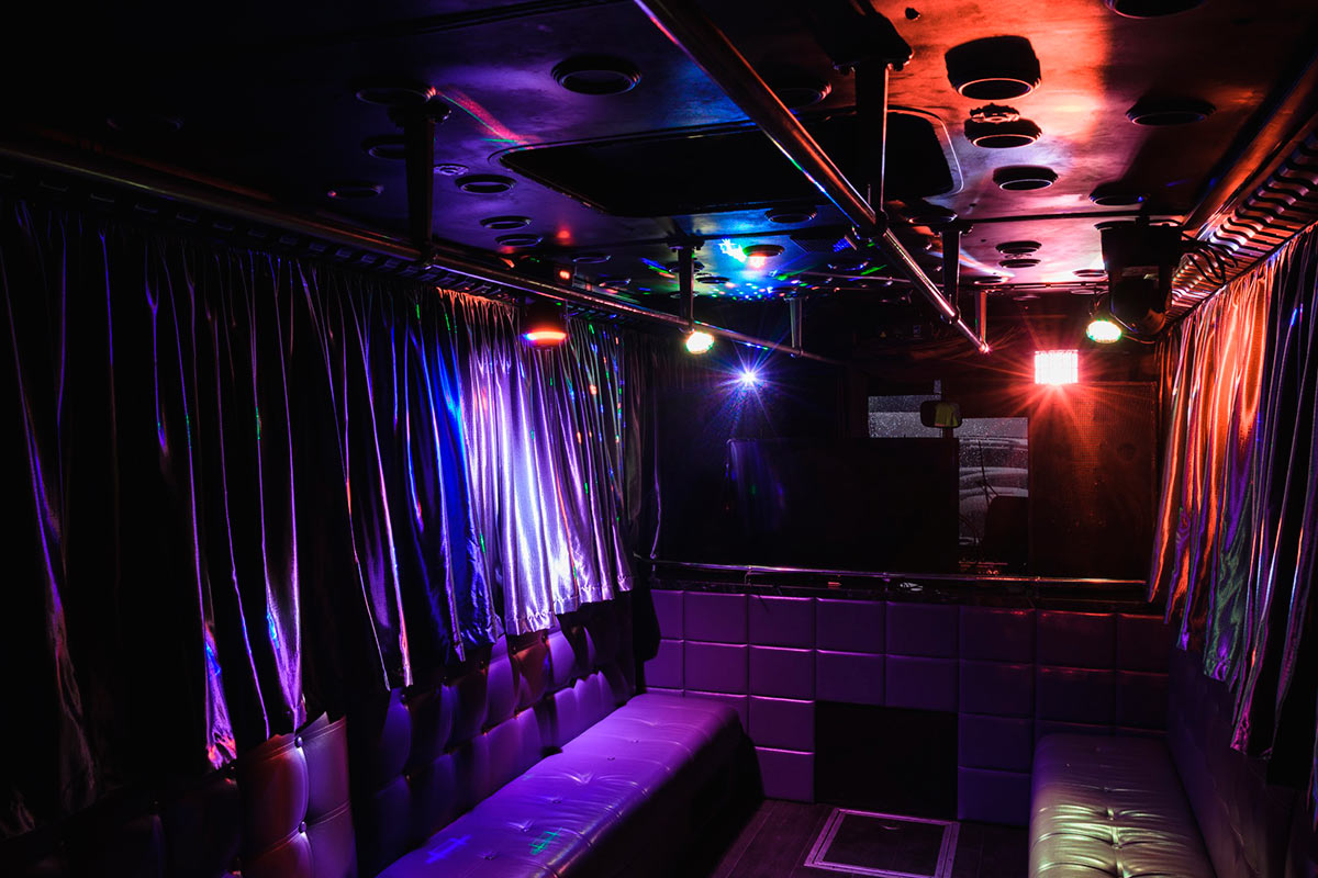 Party Bus Срібло 6